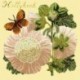 Elizabeth Bradley, Botanical Garden, HOLLYHOCK - 16x16 pollici Elizabeth Bradley - 10