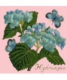 Elizabeth Bradley, Botanical Garden, HYDRANGEA - 16x16 pollici Elizabeth Bradley - 2
