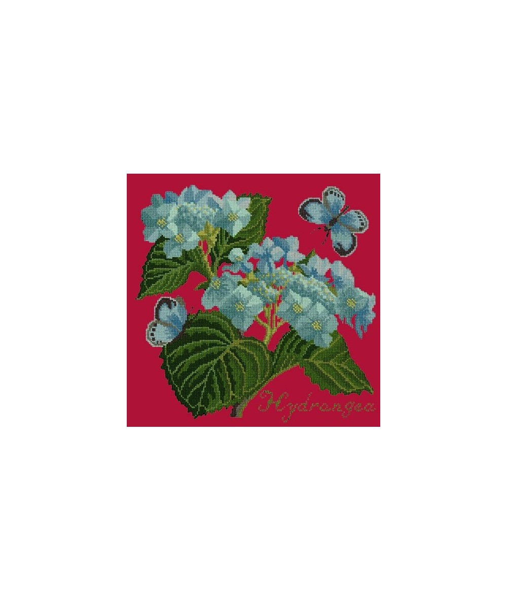 Elizabeth Bradley, Botanical Garden, HYDRANGEA - 16x16 pollici Elizabeth Bradley - 4