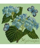 Elizabeth Bradley, Botanical Garden, HYDRANGEA - 16x16 pollici Elizabeth Bradley - 9