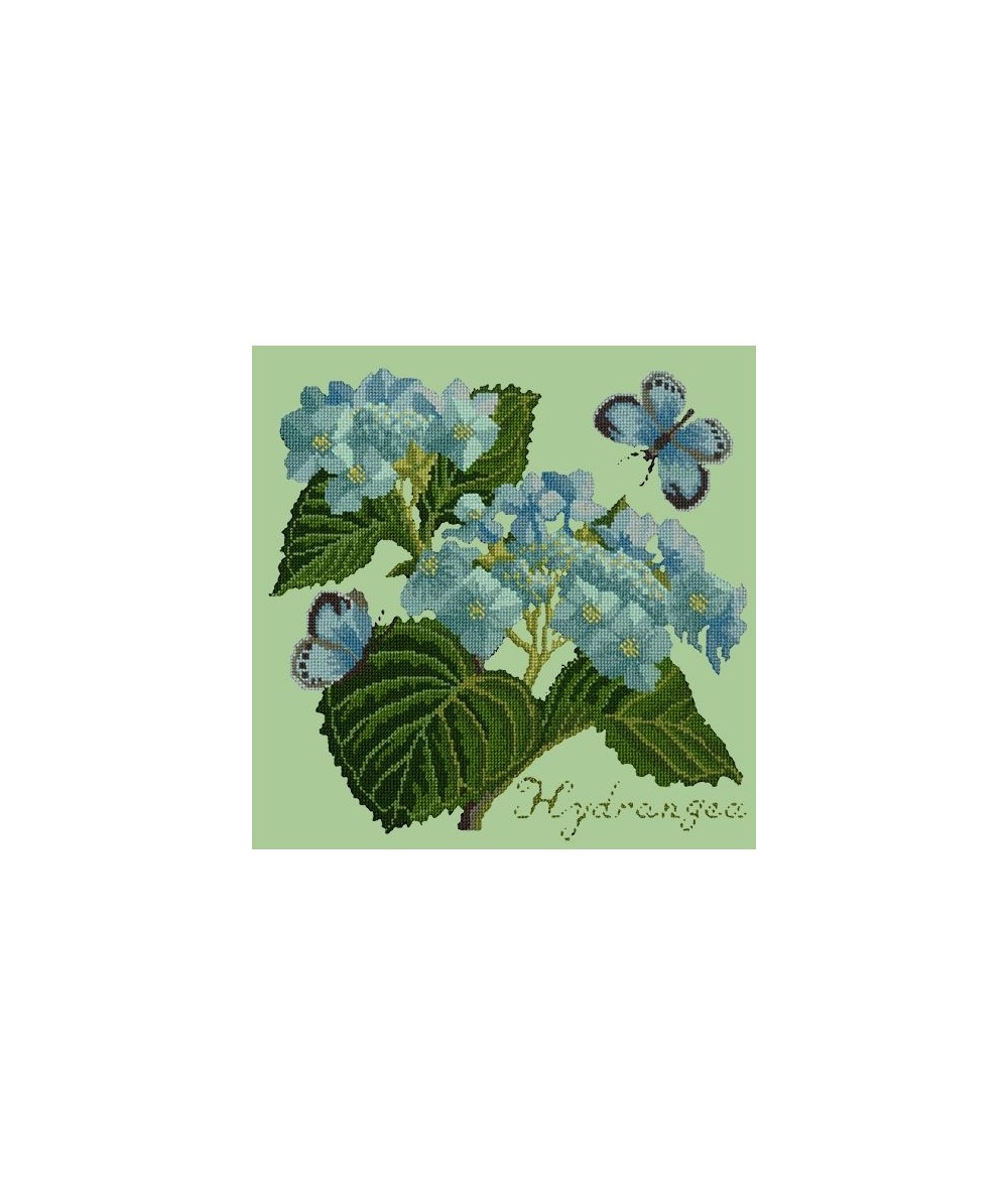 Elizabeth Bradley, Botanical Garden, HYDRANGEA - 16x16 pollici Elizabeth Bradley - 9