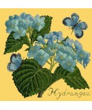 Elizabeth Bradley, Botanical Garden, HYDRANGEA - 16x16 pollici Elizabeth Bradley - 11