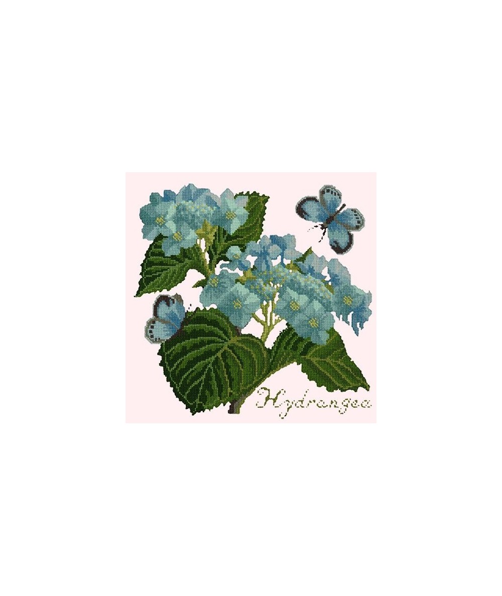Elizabeth Bradley, Botanical Garden, HYDRANGEA - 16x16 pollici Elizabeth Bradley - 12