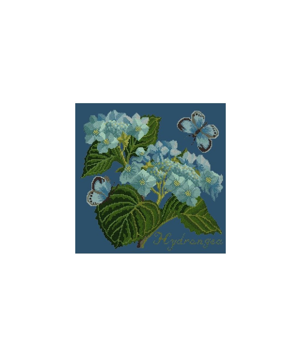 Elizabeth Bradley, Botanical Garden, HYDRANGEA - 16x16 pollici Elizabeth Bradley - 16