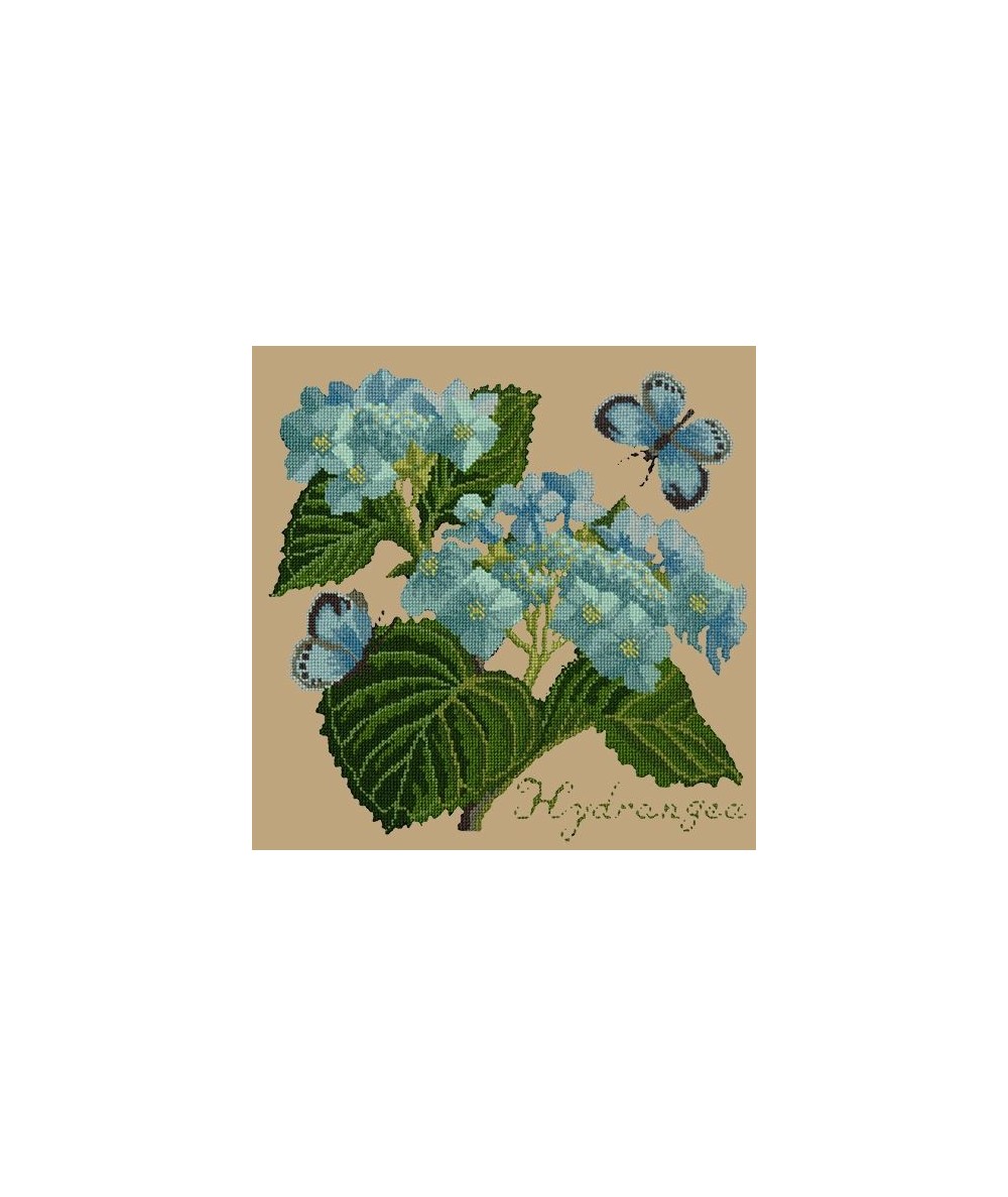 Elizabeth Bradley, Botanical Garden, HYDRANGEA - 16x16 pollici Elizabeth Bradley - 17