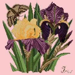 Elizabeth Bradley, Botanical Garden, IRIS - 16x16 pollici Elizabeth Bradley - 2