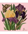 Elizabeth Bradley, Botanical Garden, IRIS - 16x16 pollici Elizabeth Bradley - 2 Elizabeth Bradley, Botanical Garden, IRIS - 16x16 pollici Elizabeth Bradley - 2
