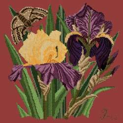 Elizabeth Bradley, Botanical Garden, IRIS - 16x16 pollici Elizabeth Bradley - 5