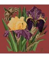 Elizabeth Bradley, Botanical Garden, IRIS - 16x16 pollici Elizabeth Bradley - 5