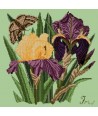 Elizabeth Bradley, Botanical Garden, IRIS - 16x16 pollici Elizabeth Bradley - 9