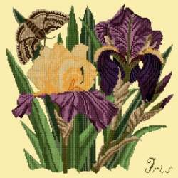 Elizabeth Bradley, Botanical Garden, IRIS - 16x16 pollici Elizabeth Bradley - 10