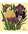 Elizabeth Bradley, Botanical Garden, IRIS - 16x16 pollici Elizabeth Bradley - 10