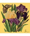 Elizabeth Bradley, Botanical Garden, IRIS - 16x16 pollici Elizabeth Bradley - 11