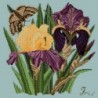 Elizabeth Bradley, Botanical Garden, IRIS - 16x16 pollici Elizabeth Bradley - 14