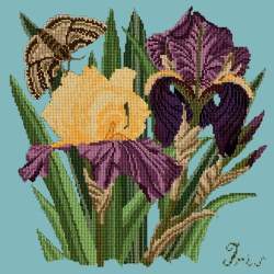Elizabeth Bradley, Botanical Garden, IRIS - 16x16 pollici Elizabeth Bradley - 15