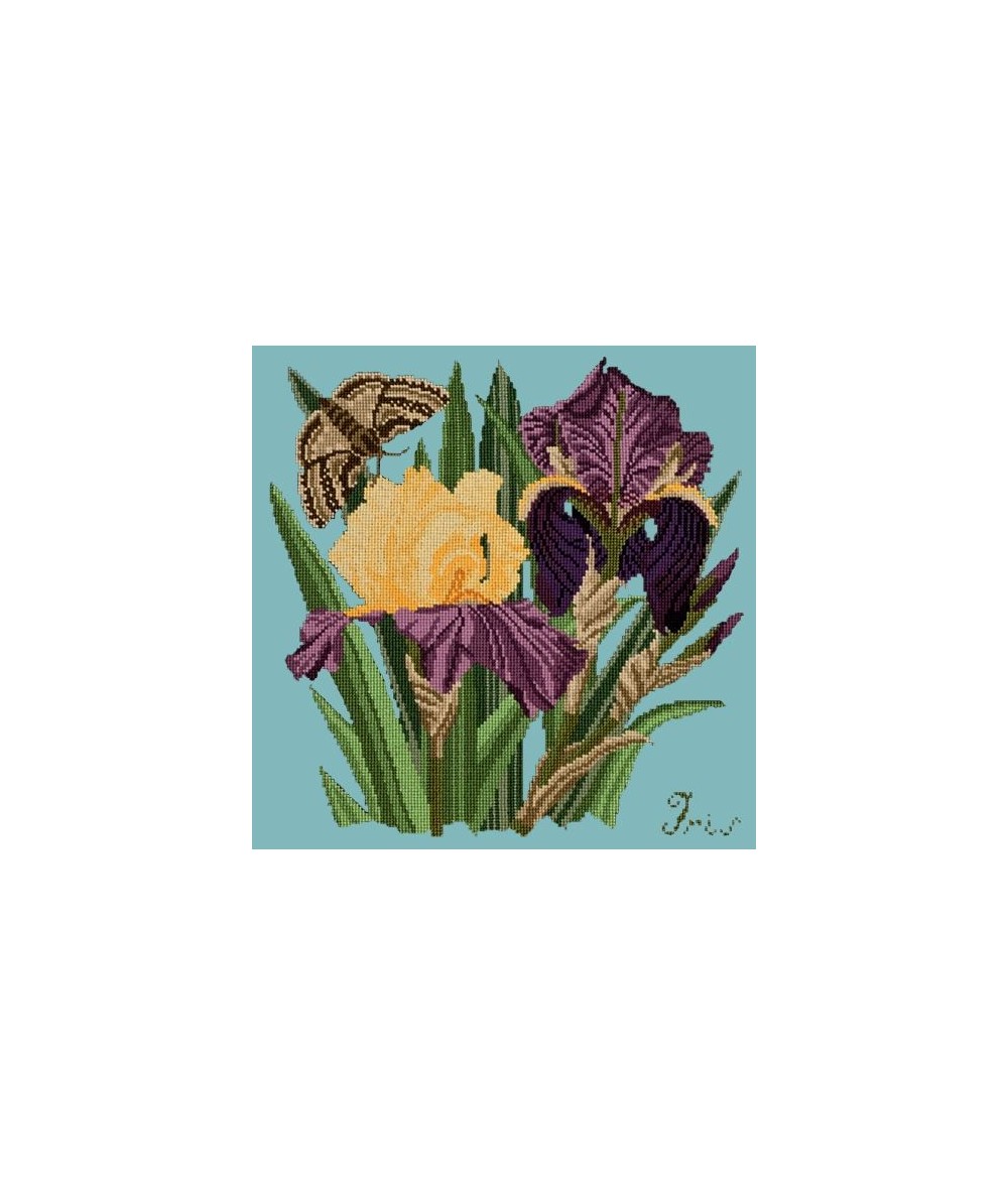 Elizabeth Bradley, Botanical Garden, IRIS - 16x16 pollici Elizabeth Bradley - 15