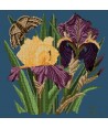 Elizabeth Bradley, Botanical Garden, IRIS - 16x16 pollici Elizabeth Bradley - 16