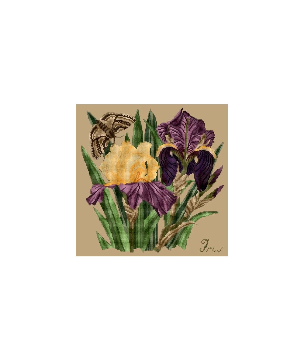 Elizabeth Bradley, Botanical Garden, IRIS - 16x16 pollici Elizabeth Bradley - 17