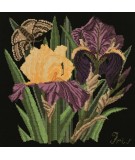 Elizabeth Bradley, Botanical Garden, IRIS - 16x16 pollici Elizabeth Bradley - 18