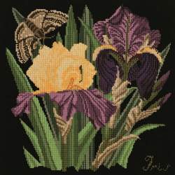 Elizabeth Bradley, Botanical Garden, IRIS - 16x16 pollici Elizabeth Bradley - 18