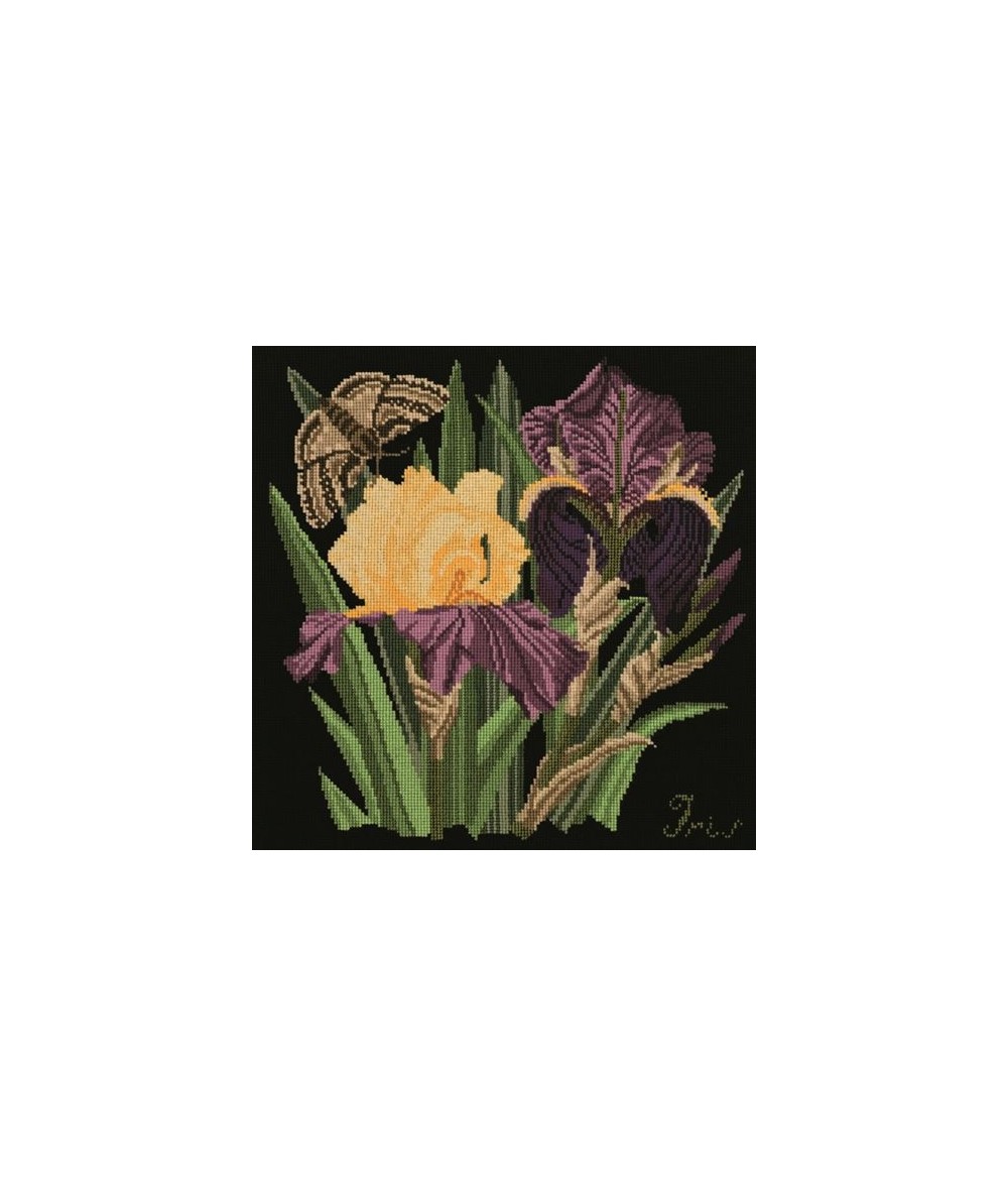 Elizabeth Bradley, Botanical Garden, IRIS - 16x16 pollici Elizabeth Bradley - 18