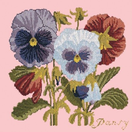 Elizabeth Bradley, Botanical Garden, PANSY - 16x16 pollici Elizabeth Bradley - 2 Elizabeth Bradley, Botanical Garden, PANSY - 16x16 pollici Elizabeth Bradley - 2