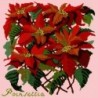 Elizabeth Bradley, Botanical Garden, POINSETTIA - 16x16 pollici Elizabeth Bradley - 2