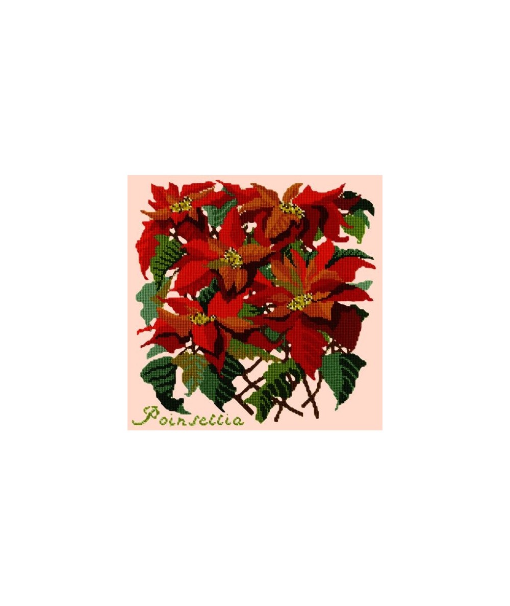 Elizabeth Bradley, Botanical Garden, POINSETTIA - 16x16 pollici Elizabeth Bradley - 3