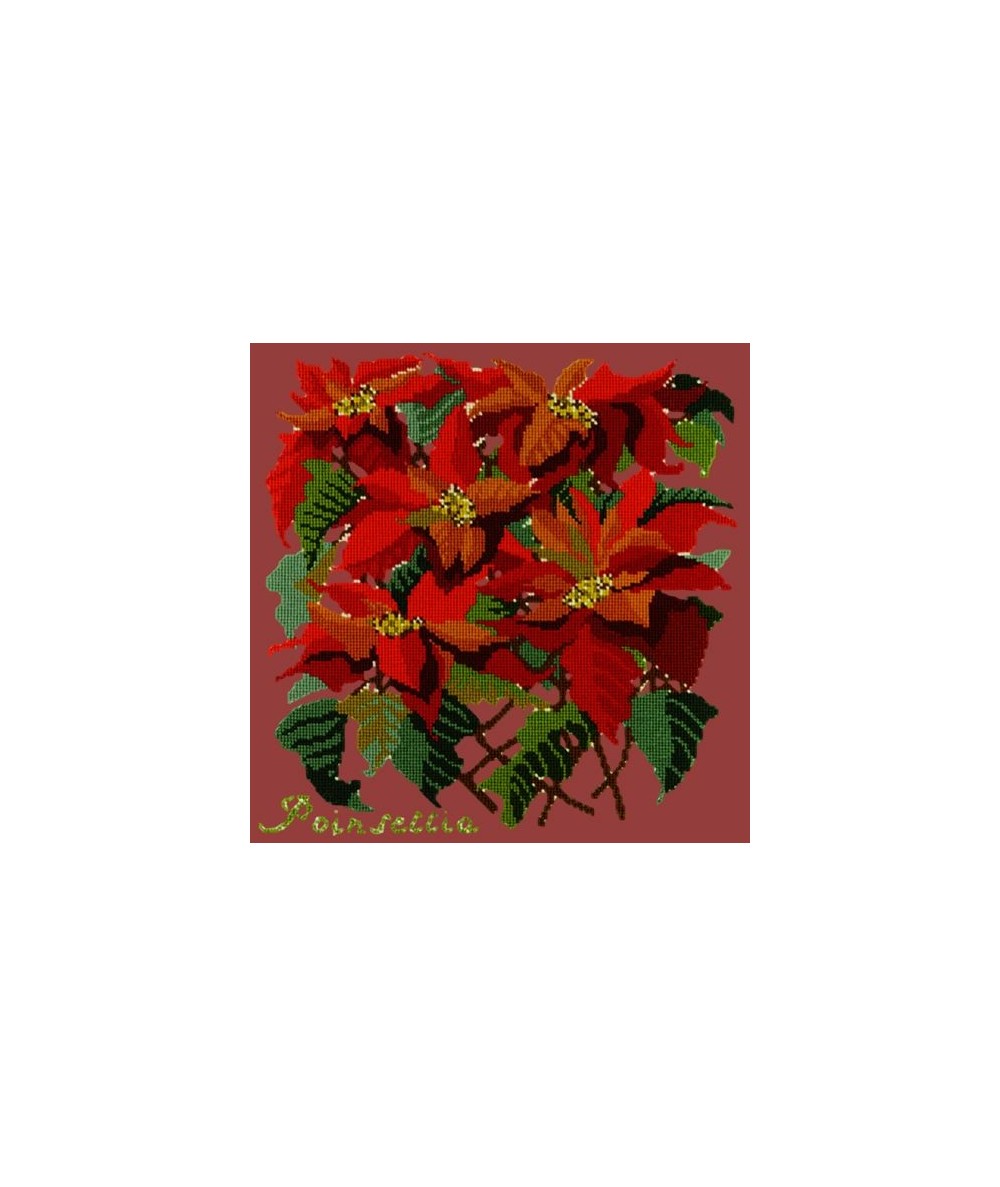 Elizabeth Bradley, Botanical Garden, POINSETTIA - 16x16 pollici Elizabeth Bradley - 5