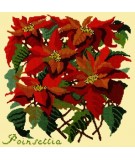 Elizabeth Bradley, Botanical Garden, POINSETTIA - 16x16 pollici Elizabeth Bradley - 10