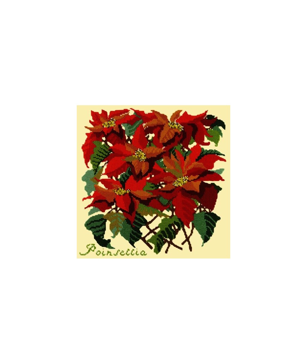 Elizabeth Bradley, Botanical Garden, POINSETTIA - 16x16 pollici Elizabeth Bradley - 10