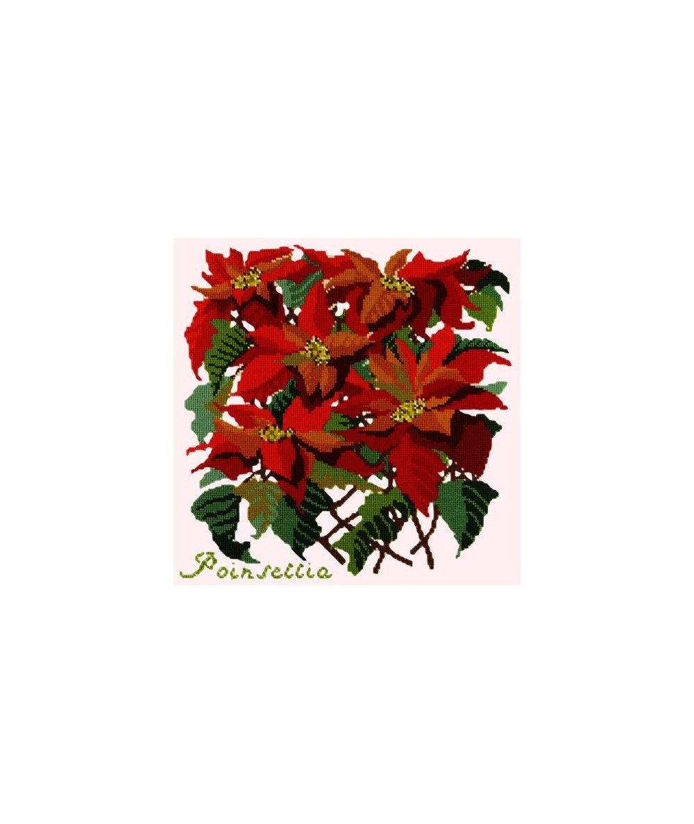 Elizabeth Bradley, Botanical Garden, POINSETTIA - 16x16 pollici Elizabeth Bradley - 12