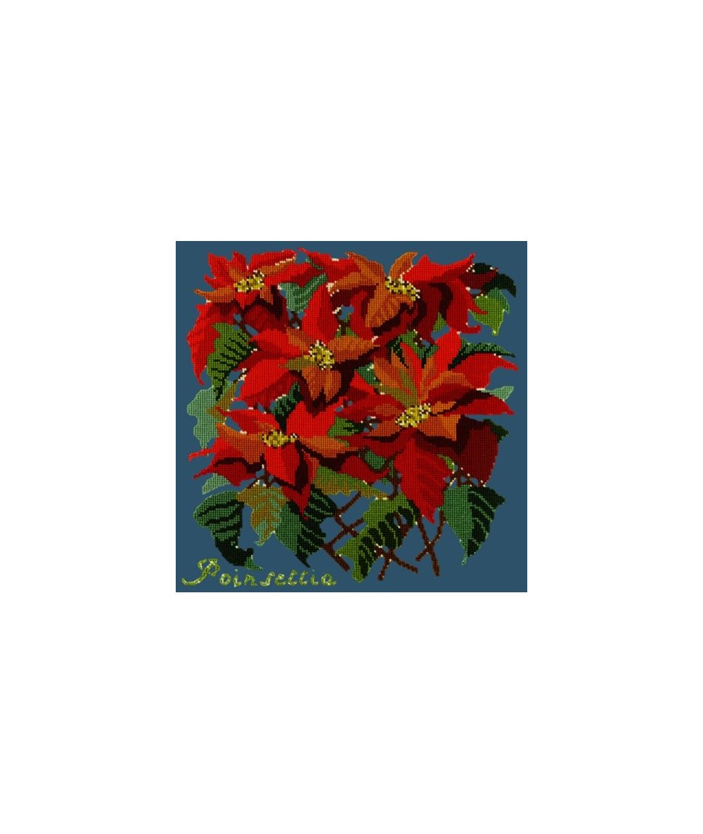 Elizabeth Bradley, Botanical Garden, POINSETTIA - 16x16 pollici Elizabeth Bradley - 16