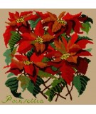 Elizabeth Bradley, Botanical Garden, POINSETTIA - 16x16 pollici Elizabeth Bradley - 17