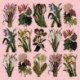 Elizabeth Bradley, Botanical Garden, PRIMAVERA - 16x16 pollici Elizabeth Bradley - 2
