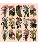 Elizabeth Bradley, Botanical Garden, PRIMAVERA - 16x16 pollici Elizabeth Bradley - 3