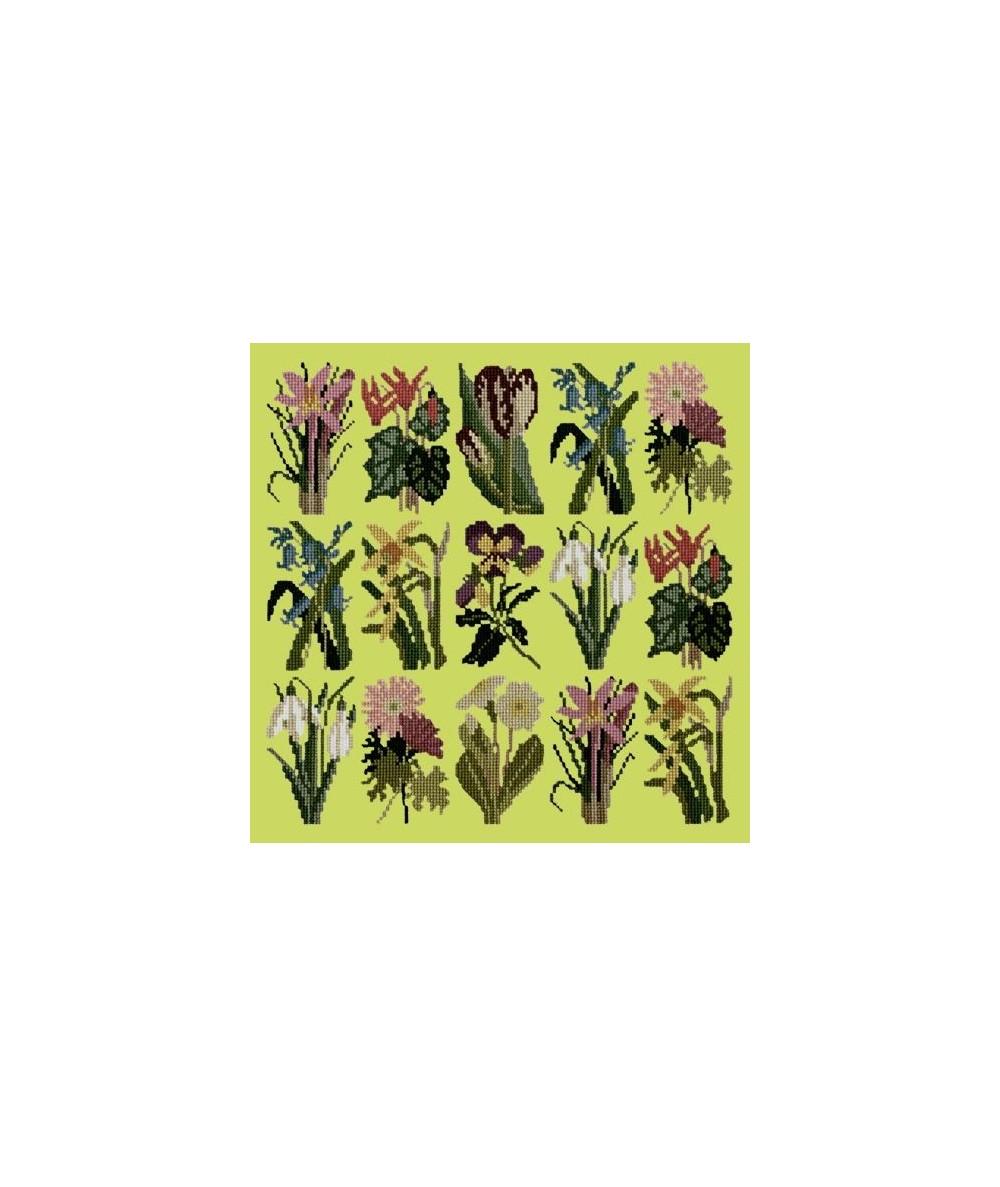 Elizabeth Bradley, Botanical Garden, PRIMAVERA - 16x16 pollici Elizabeth Bradley - 8