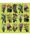 Elizabeth Bradley, Botanical Garden, PRIMAVERA - 16x16 pollici Elizabeth Bradley - 8
