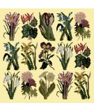 Elizabeth Bradley, Botanical Garden, PRIMAVERA - 16x16 pollici Elizabeth Bradley - 10