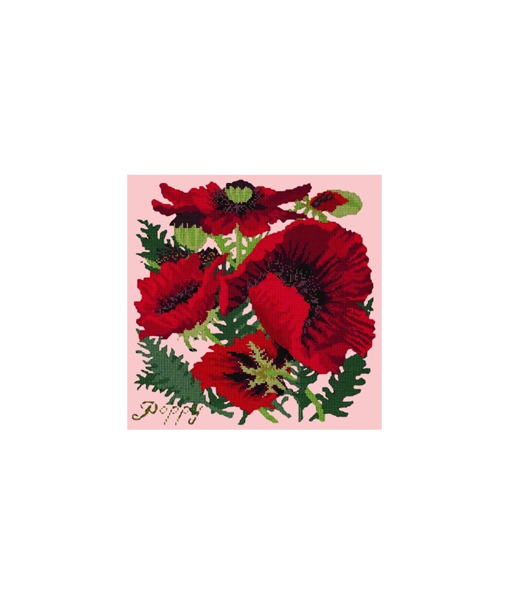 Elizabeth Bradley, Botanical Garden, RED POPPY - 16x16 pollici Elizabeth Bradley - 2 Elizabeth Bradley, Botanical Garden, RED POPPY - 16x16 pollici Elizabeth Bradley - 2