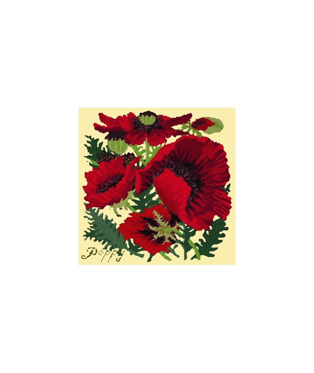 Elizabeth Bradley, Botanical Garden, RED POPPY - 16x16 pollici Elizabeth Bradley - 10
