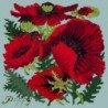 Elizabeth Bradley, Botanical Garden, RED POPPY - 16x16 pollici Elizabeth Bradley - 14