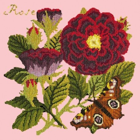 Elizabeth Bradley, Botanical Garden, ROSE - 16x16 pollici Elizabeth Bradley - 2 Elizabeth Bradley, Botanical Garden, ROSE - 16x16 pollici Elizabeth Bradley - 2