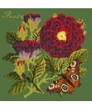 Elizabeth Bradley, Botanical Garden, ROSE - 16x16 pollici Elizabeth Bradley - 6