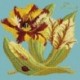 Elizabeth Bradley, Botanical Garden, TULIP - 16x16 pollici Elizabeth Bradley - 15