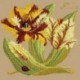 Elizabeth Bradley, Botanical Garden, TULIP - 16x16 pollici Elizabeth Bradley - 17