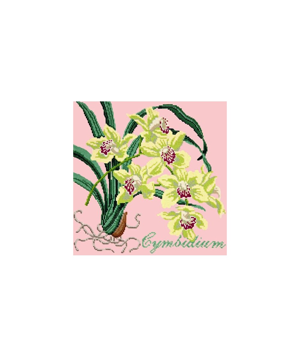 Elizabeth Bradley, Exotics, CYMBIDIUM ORCHID - 16x16 pollici Elizabeth Bradley - 2 Elizabeth Bradley, Exotics, CYMBIDIUM ORCHID - 16x16 pollici Elizabeth Bradley - 2