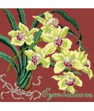 Elizabeth Bradley, Exotics, CYMBIDIUM ORCHID - 16x16 pollici Elizabeth Bradley - 5