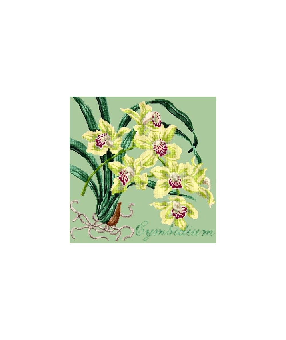 Elizabeth Bradley, Exotics, CYMBIDIUM ORCHID - 16x16 pollici Elizabeth Bradley - 9
