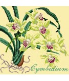 Elizabeth Bradley, Exotics, CYMBIDIUM ORCHID - 16x16 pollici Elizabeth Bradley - 10